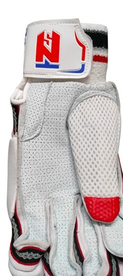 TNS Player Edition Cricket Batting Right Handers Gloves ,Stylish & Attractive Design, Comfortable Grip