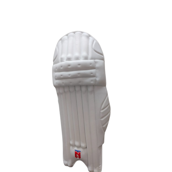 TNS Player Edition Men's Mesh Cricket Batting Pads